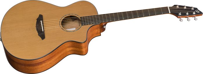 Breedlove Atlas Series Solo C350/CMe