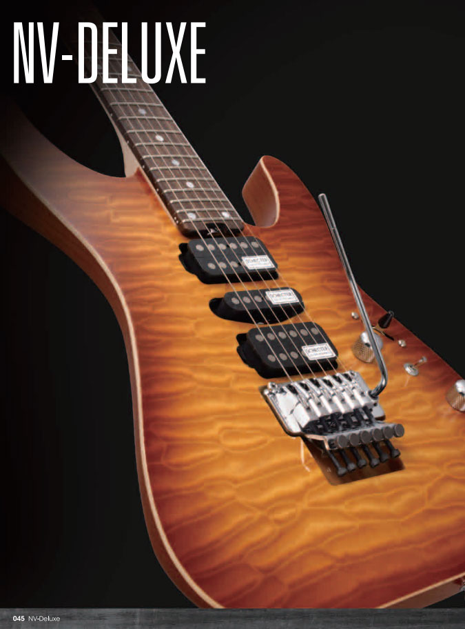 schecter-045.jpg